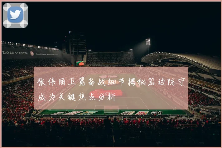 张伟丽卫冕备战细节揭秘笼边防守成为关键焦点分析